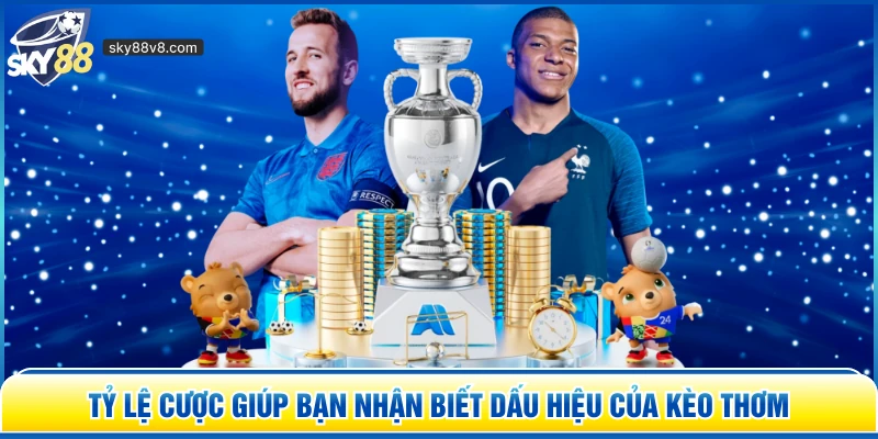 Tỷ lệ cược giúp bạn nhận biết dấu hiệu của kèo thơm 